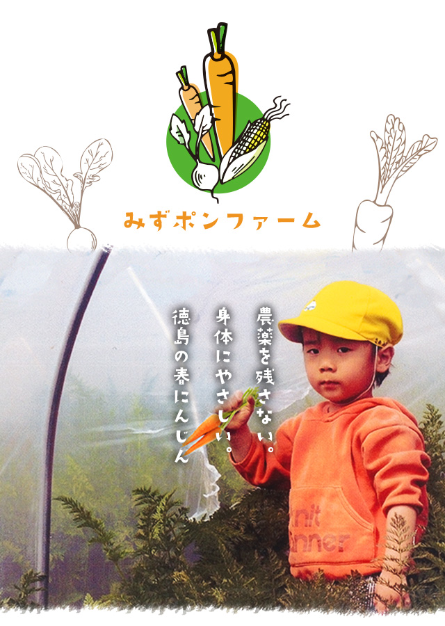 農薬を残さない。身体にやさしい。徳島の春にんじん